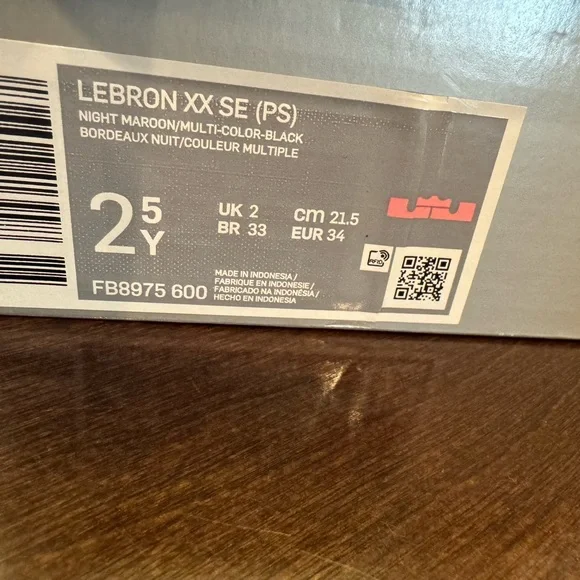 Nike LeBron XX SE PS